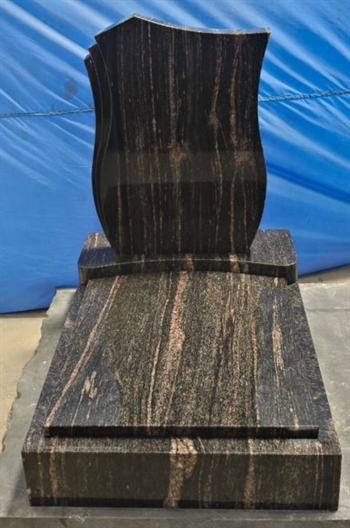 Himalaya Gandhi 14/03